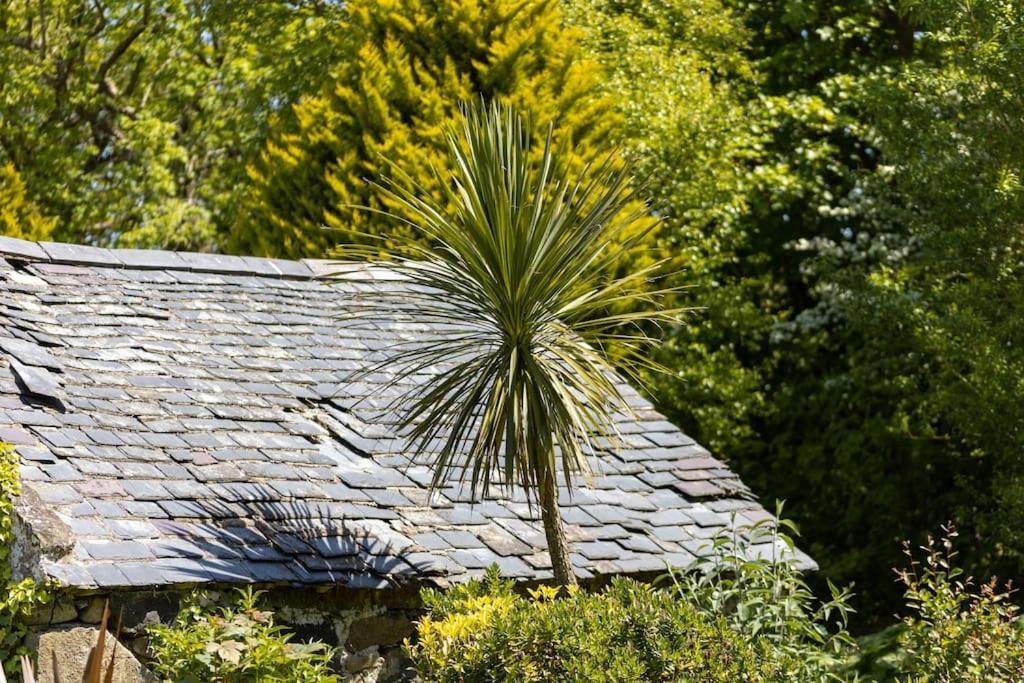 Plas Newydd With Swimming Pool, Fire Pit, And Log Fires Villa Rhiw Bagian luar foto